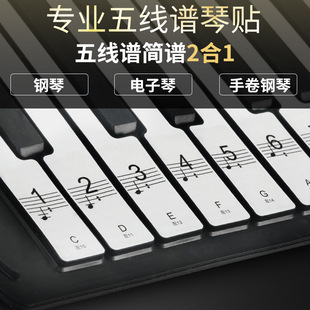 88/61/54�I��ͯ�������������I�P�N���o�z͸���N�往�V���V�ԌW