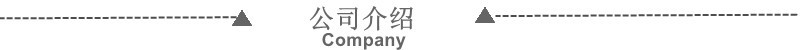 公司介绍