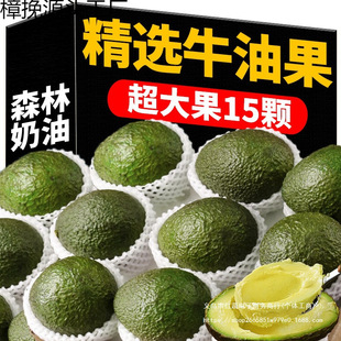 ţ�͹�15������������rˮ�������oʳ��ʳ�{�������ٰlī����