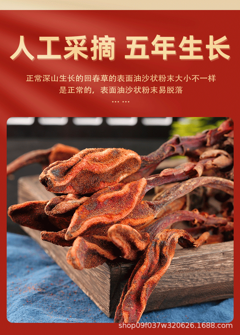 Hui Chun Cao Dried Herb 500g Yunnan Highland Huichuncao Whole Herb for Herbal Wine Infusion quality and texture