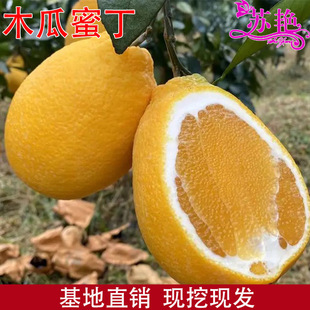 ľ���۶����٘���ľ����ľ���۶����Ә�������缃��o��Ě�ȹ���