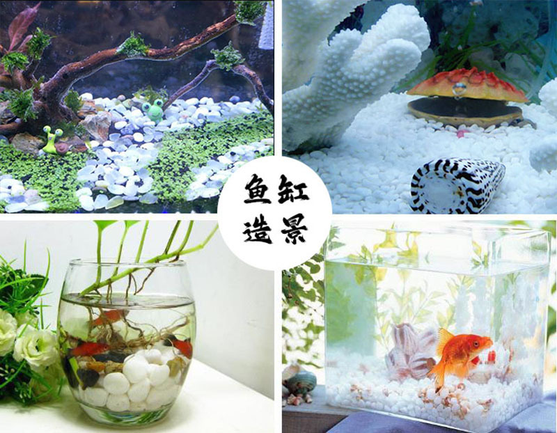 鱼缸造景.jpg