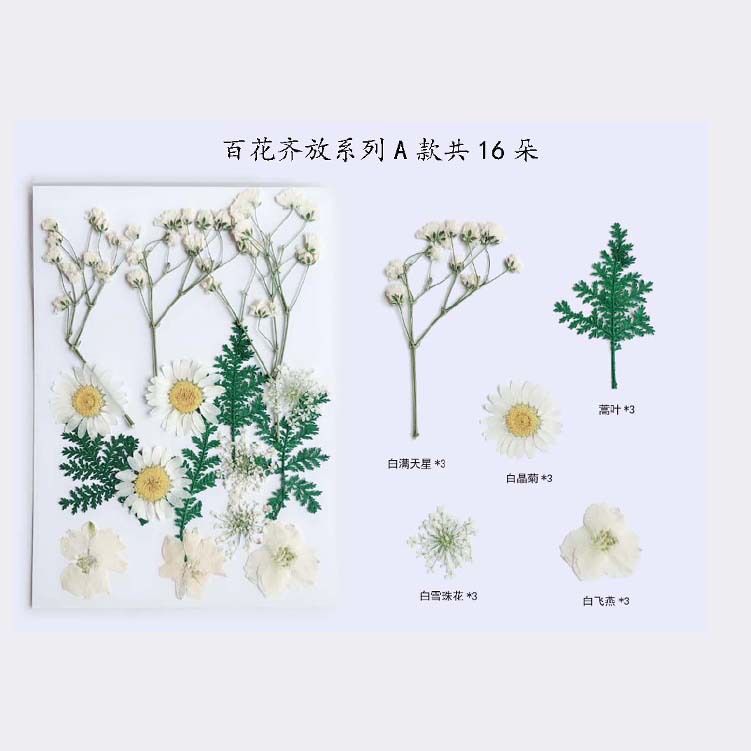 Paquete de material en relieve jardín de infantes en relieve DIY marcador epoxi flor seca caja del teléfono en relieve planta muestra