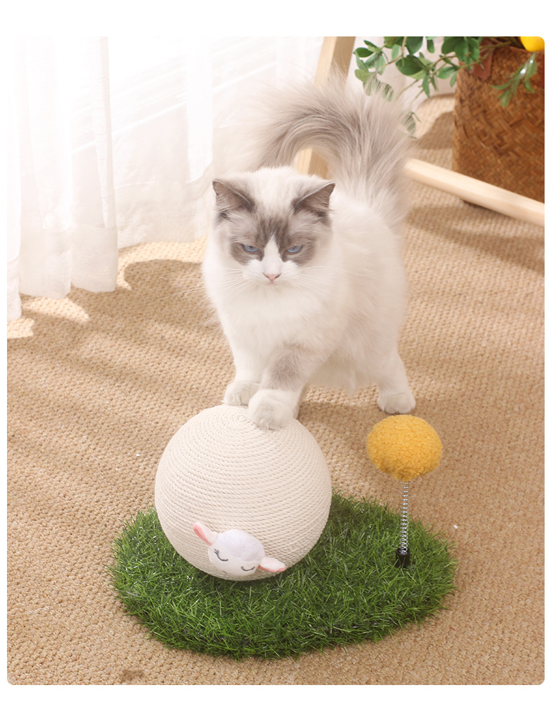 猫抓球_08.jpg