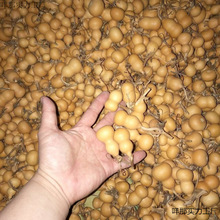 ���J��ȻС���J�]��覴��������Π��������]�п��Ԕ[��Ұ�������F