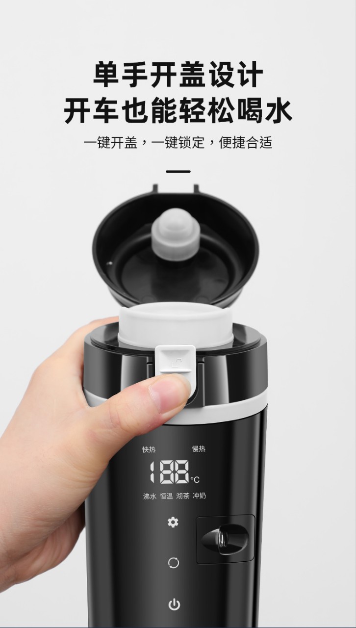 Cross-Border Car Water Kettle 12V24V Universal Electric Heating Water Kettle Car Heating Cup Car Home Dual-Purpose Water Kettle