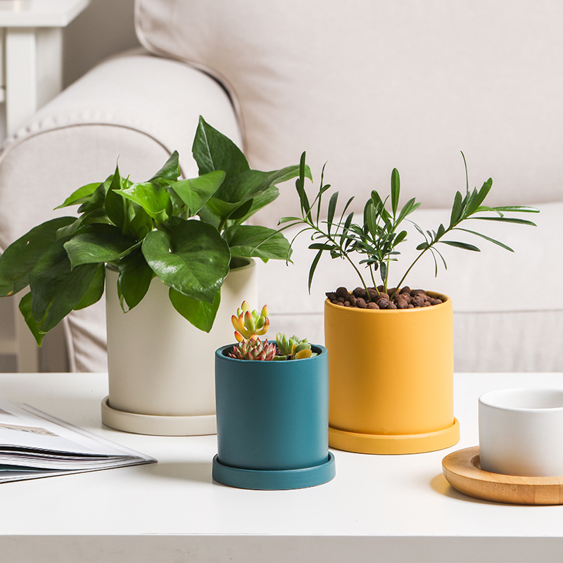 Taza de flores de cerámica personalizada simple contenedor de maceta moderna plantación verde orquídea mariposa carneosa maceta transfronteriza mayorista