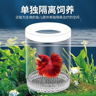 Suspended Transparent Feeding High Definition Incubation Box Isolation Height Adjustable Protection Juvenile Breeder Whole Net
