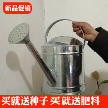 工具加大浇花浇菜壶家用洒水壶镀锌铁皮加厚花洒浇水喷壶包邮