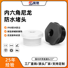 公制尼龙内六角堵头4分螺纹塑料闷盖G/NPT多塞头接头厂家密封水管