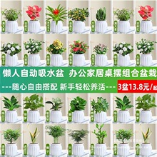 �G�}�j����Gֲ�lؔ�����ԗd�ӻ��k���҃�ֲ�ﻨ�ܶ���ˮ����B��