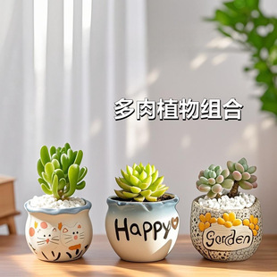 ����ֲ��M���҃�С���Ԏ��մɻ������Ϙ��߶�������Gֲ��������