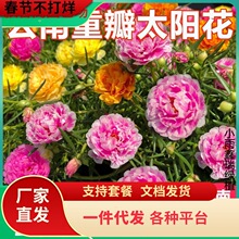 һ�����l���ֱ�l̫ꖻ������Ԏ����������ذ��̨ͥԺ���B�͕�