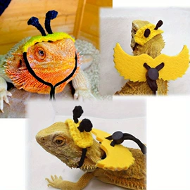 其他小宠用品;猫猫窝/笼/垫;其他小宠