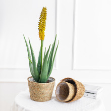 �羳���u�Ѳݾ���������Ȼ���ݾ��پ�����Gֲ�b��҃ȶ��⻨�@��