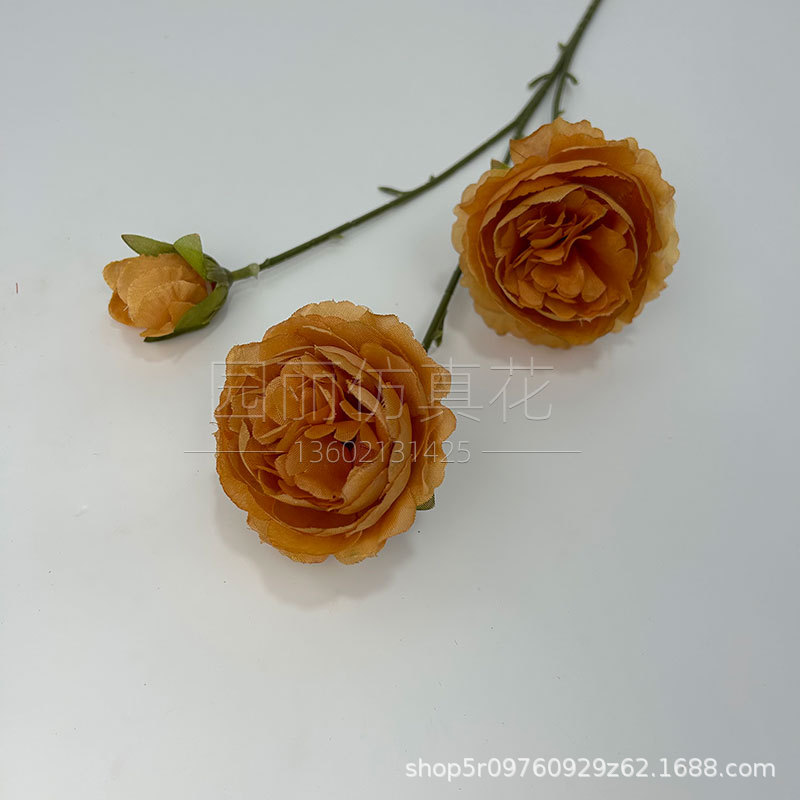 가을 깊은 오렌지