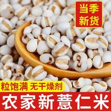 ޲����޲������؛�F��޲���׿ɴ���ඹ�t������s�Z�ּZ���Ҝ�