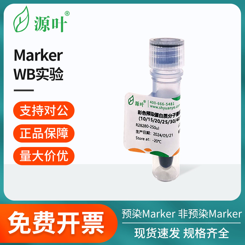 源叶凝胶电泳-Marker预染/非预染Marker彩色预染蛋白质分子量标准