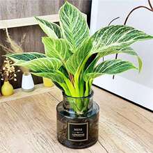 �K�������ˮ���ļ����Bֲ������՚���˾Gֲ���~��荾G����ˮ�B