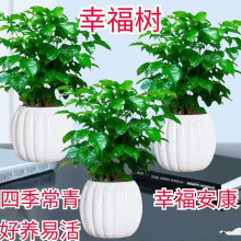 �Ҹ���Gֲ�����՚��ļ�����͏d�[������ֲ��