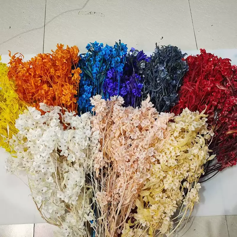 【永生花迎客豆】豆蝴蝶花过年喜庆装饰干花抱抱桶花材手工花