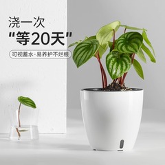 自動吸水怠け者盆メーカー直販樹脂大規模創意緑羅鉢植え水培プラスチック植木鉢卸売り