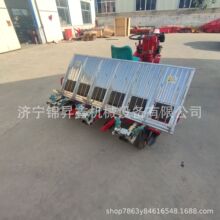 6�г���ʽˮ������C ����8�е��ӷNֲ�C���Mʽˮ������ֲ�C