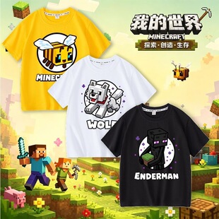 �ҵ�����Minecraft��ͯ����T���۷���ĩӰ�����ؼ�����ͯ�ļ�����