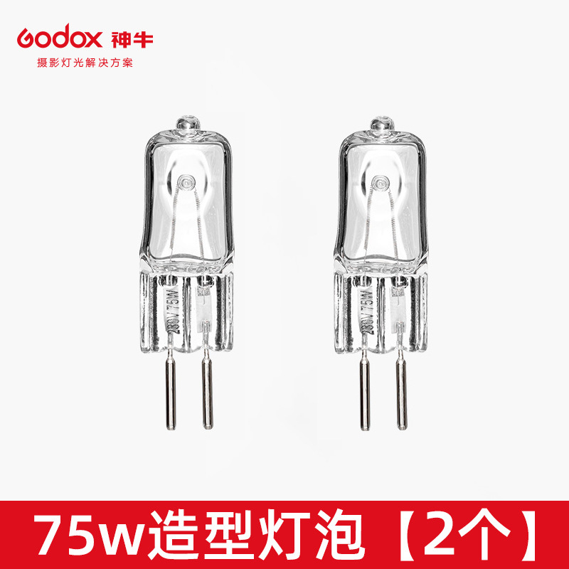 75w modeling bulbs 220v 2 pieces [suitable for small studio flashes]