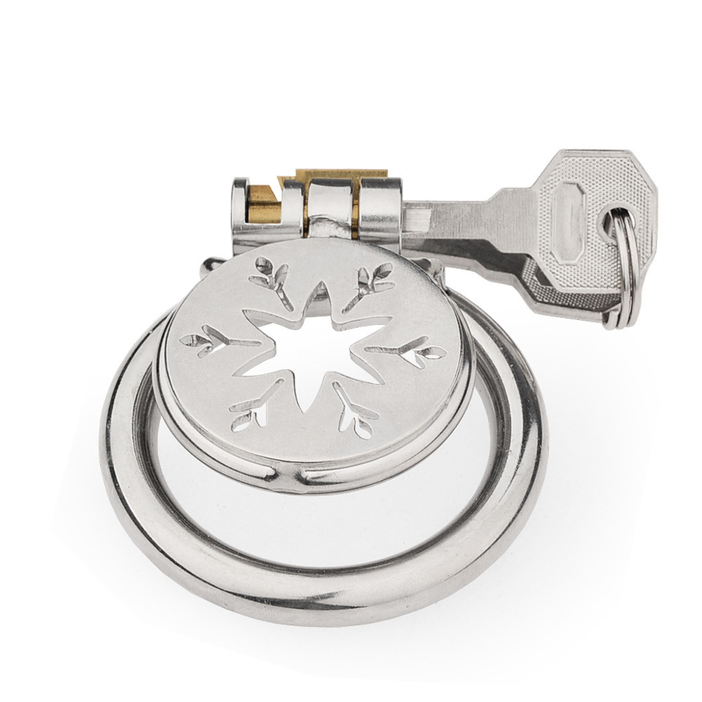 Men’s Stainless Steel Birdcage Chastity Cage with Lock, Manual Restraint Device — detail image 14