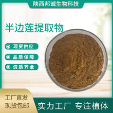 木瓜提取物 10:1 木瓜粉 木瓜浸膏粉 木瓜萃取粉 现货供应