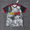 Japan 42