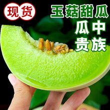 玉菇蜜瓜10斤新鲜水果批发当季海南玉茹甜瓜哈脆香瓜密瓜2/5斤