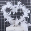 White -changing feathers