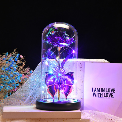 工廠定制永生玫瑰花玻璃罩金箔花夜燈發光蝴蝶花裝飾品聖誕節禮物