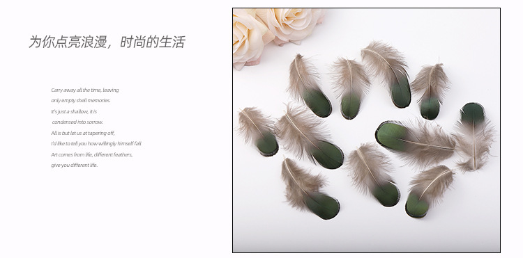 丰尔绿片_08.jpg
