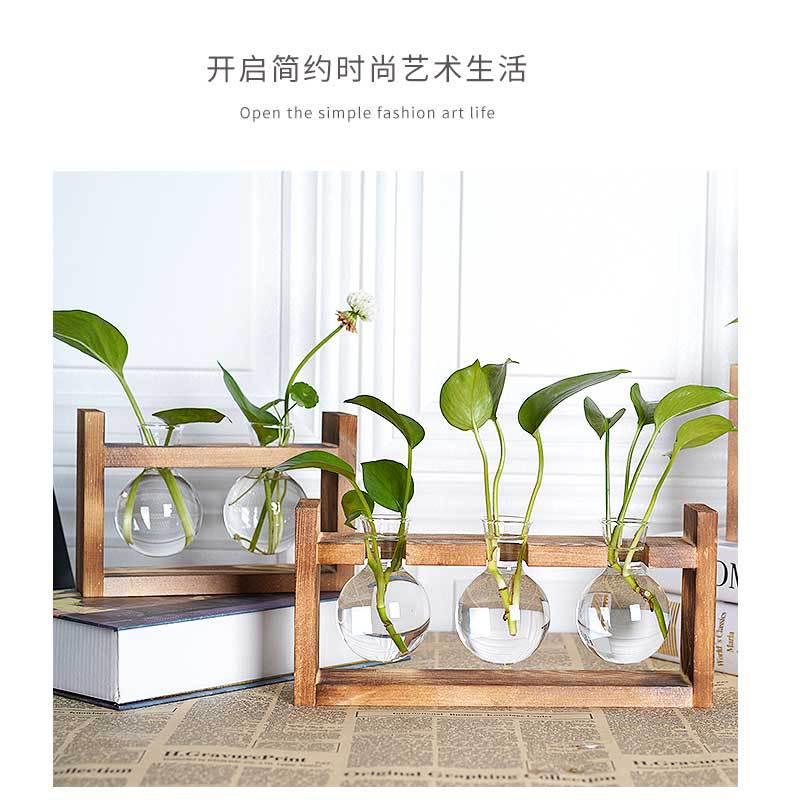 水培_08.jpg