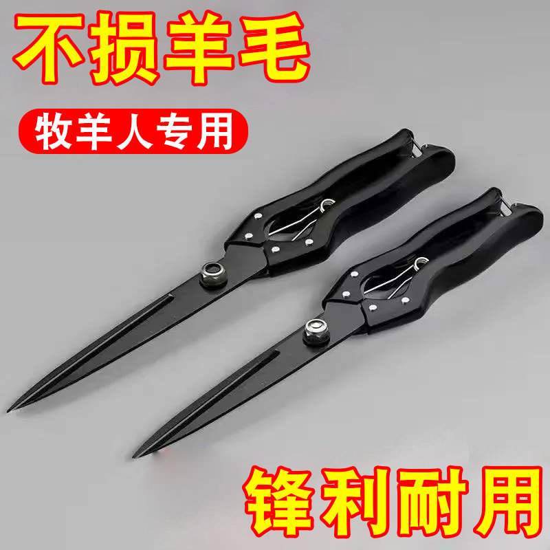 微信图片_20240219161110