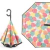 Automatic double-layer big umbrella with umbrella for car