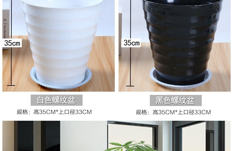 ��������ͼ�����ڻ��� �辰ֲ�� ���������� �������⻨�� ��