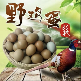 ���r�߲�ɽ�u�����ڴ��p�SҰ�u�������u�����x���B���Ɠp���r��