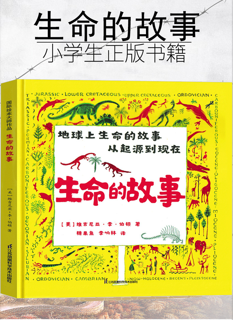 详情图