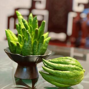 ��ˮ���^�p��ʽ���ֵ������ָ̔[���[���бP�մɷ��ֹϻ�ƿ�Ƕ