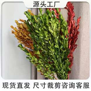 ����С�~�S��ɻ��S�����l�S���~�����羳�F؛���������վGֲ�b�