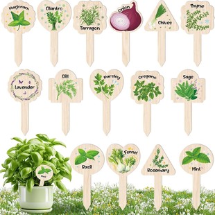 15Pcs Garden Markers Wooden Plant Labels Funny Dwarf Design for Flower and Vegetable Marking