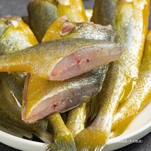 СS~r~rհbҰСS~亣rl