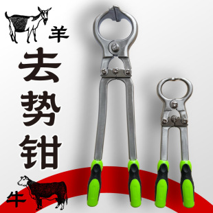 �{�� ���ßoѪȥ���Q 鎸��Q ɿ���Q �oѪȥ���� ţ�ô�̖ ��е