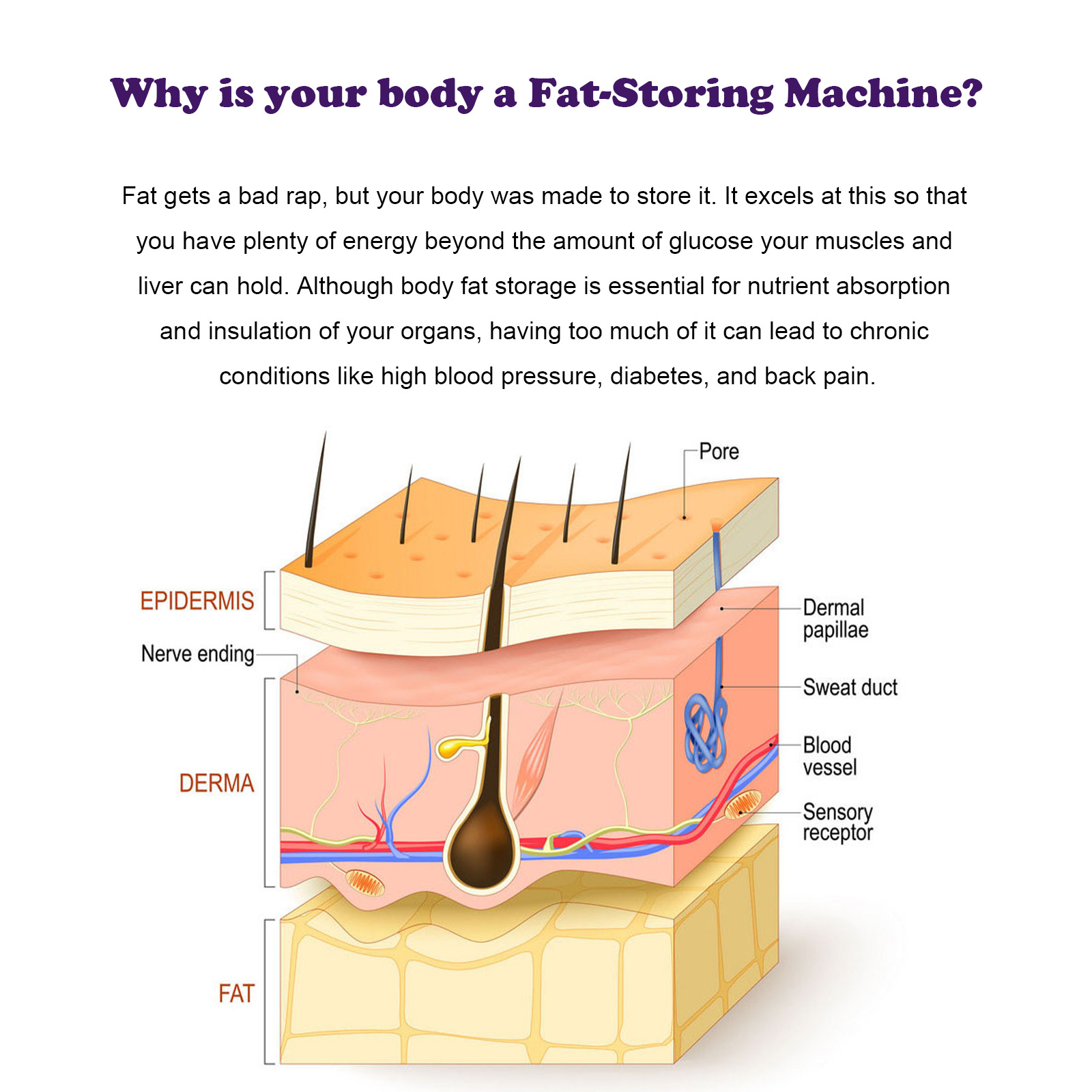 OUHOE slimming care cream compresses tightens body's excess fat, shaping belly and massaging the lazy_voghion.com