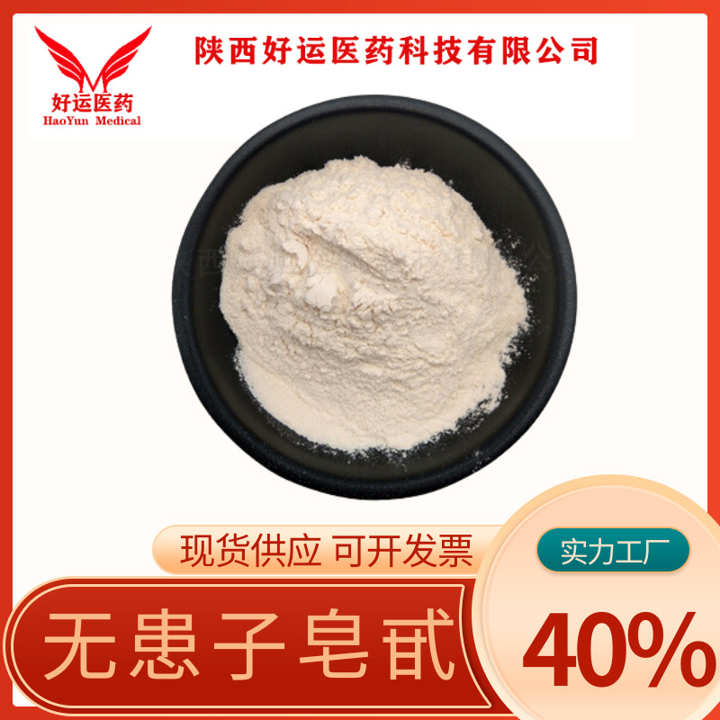 无患子皂苷 40%-80% 无患子提取物 无患子皂甙 多种规格 好运现货