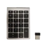 2.4g version silver black